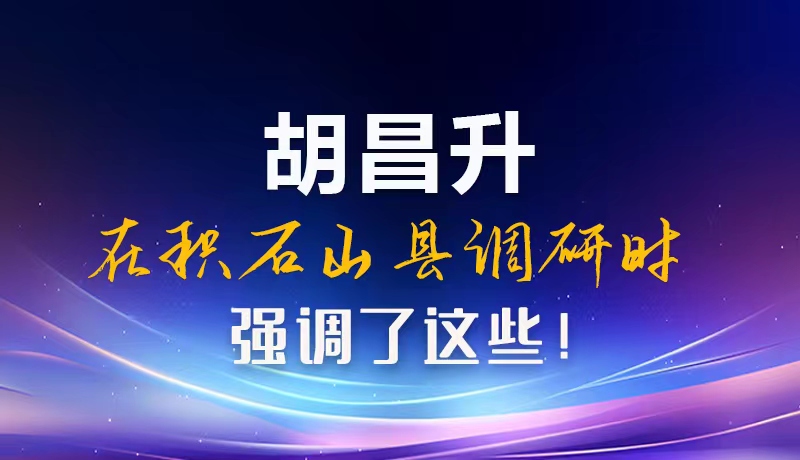 图解|胡昌升在积石山县调研时强调了这些！