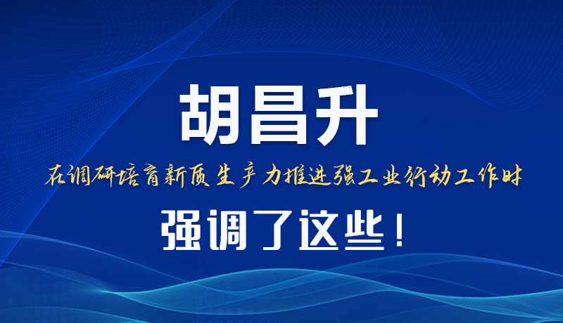 图解|胡昌升在调研培育新质生产力推进强工业行动工作时强调了这些！