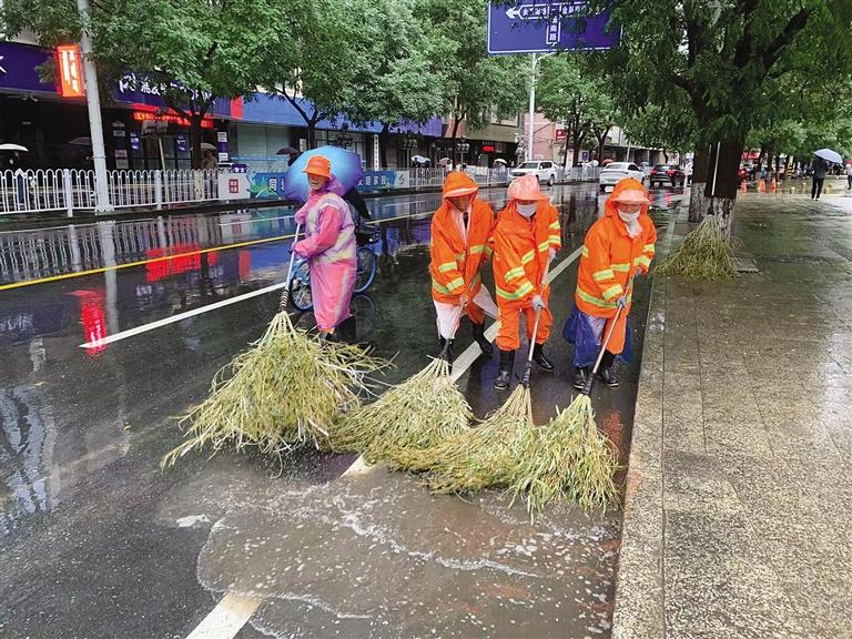 你中招了吗？“雷暴哮喘”患者一夜激增