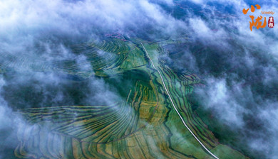 临潭：秋日云雾遮梯田 山峦斑斓似油画