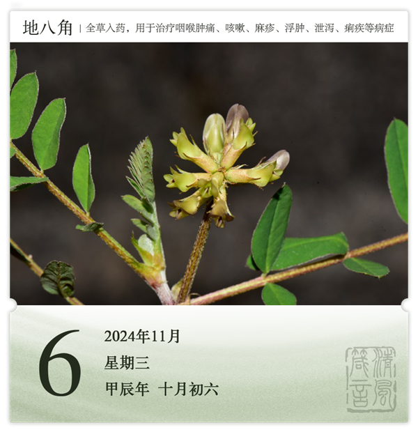 箴历日历11-6.png