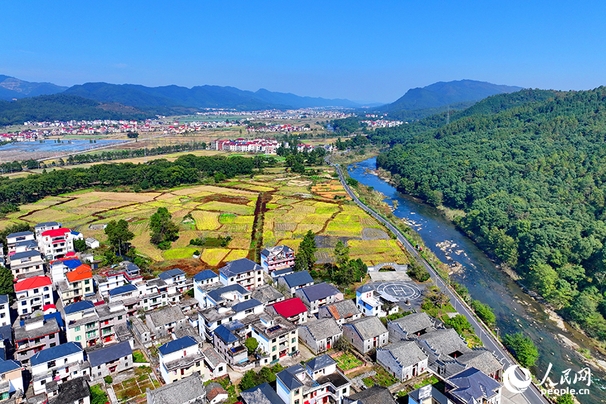 初冬时节的吉安市永新县龙源口镇黄陂洲村，绿树、青山与农房、田野相映相衬。人民网 朱海鹏摄