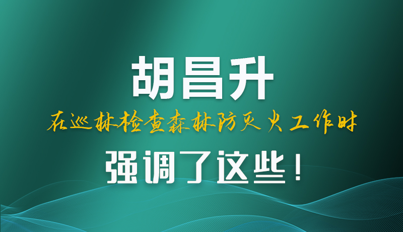 图解|胡昌升在巡林检查森林防灭火工作时强调了这些！