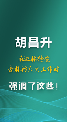 图解|胡昌升在巡林检查森林防灭火工作时强调了这些！