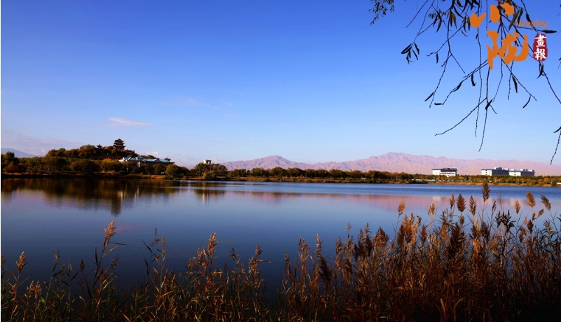 【小陇画报·319期】临泽：“戈壁水乡”的冬日美景