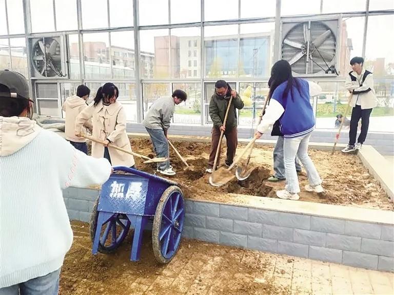 药学生下地体验中药材种植