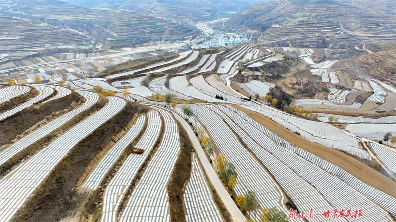 【组图】静宁：冬日梯田披银装 地膜景观别样美