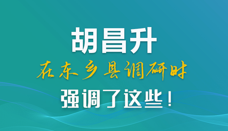 图解|胡昌升在东乡县调研时强调了这些！