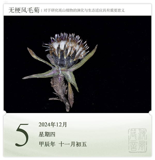 箴历日历12-5.png