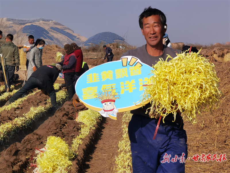 展技能 亮风采！西固区举办韭黄收割劳动技能大赛