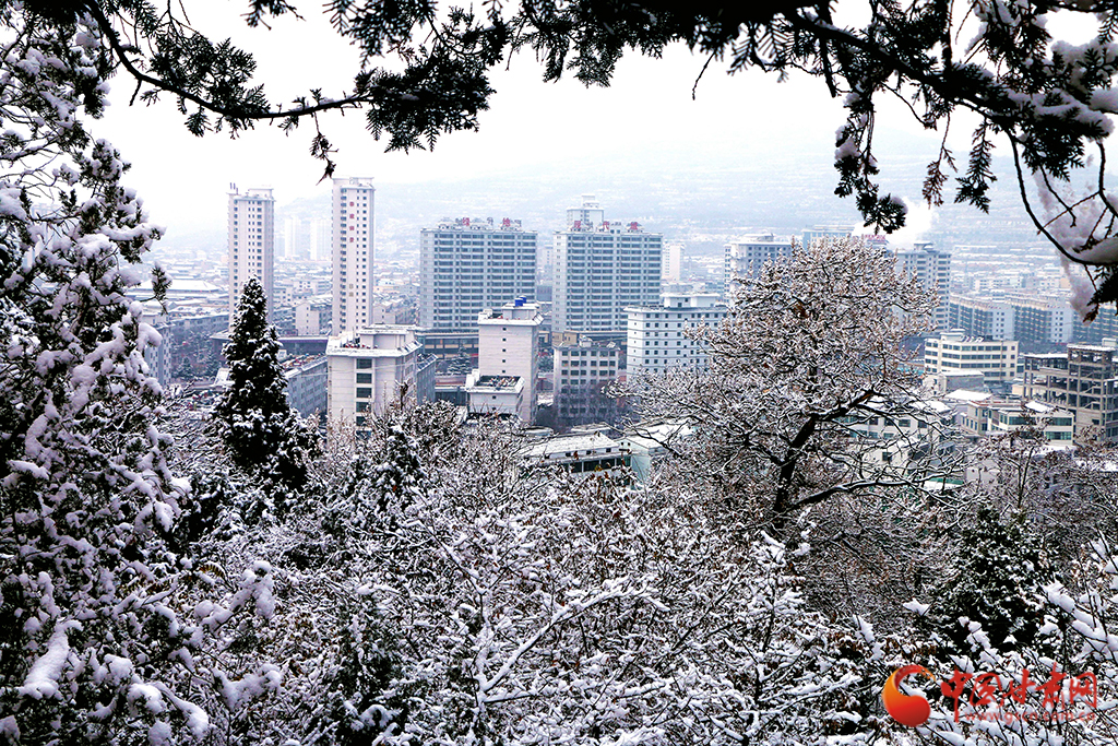 陇拍客|雪后礼县 冬日画卷悄然展开