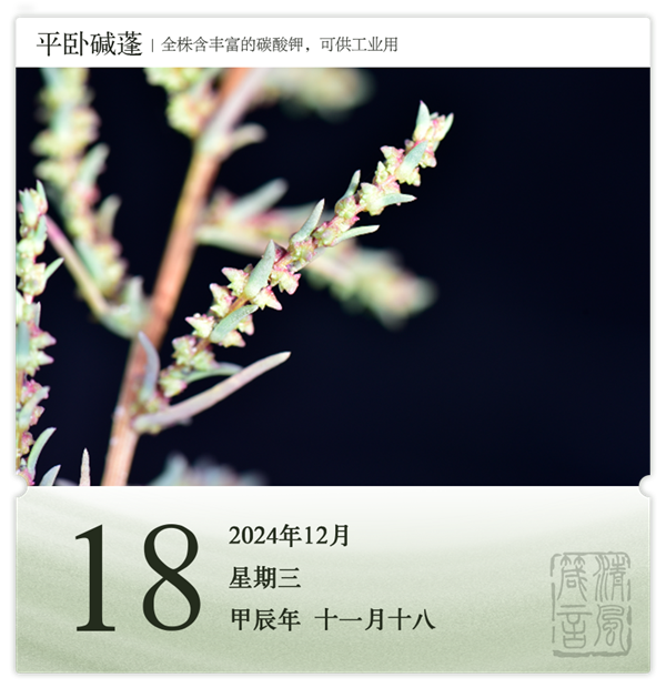 箴历日历12-18.png