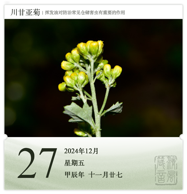 箴历日历12-27.png