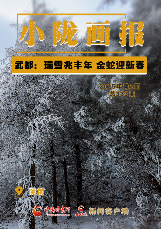 【小陇画报·333期】武都：瑞雪兆丰年 金蛇迎新春