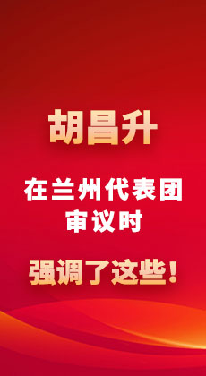 聚焦2025甘肃两会·图解|胡昌升在兰州代表团审议时强调了这些！