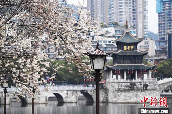 春暖花开时节，贵阳市南明河畔的梅花、李花等各色花种竞相绽放，“繁花”盛开的初春美景，吸引了不少市民游客前来踏春赏花，享受春光。图为2月27日南明河畔绽放的李花与甲秀楼相映成景。赵松 摄