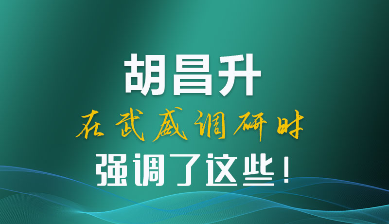 图解|胡昌升在武威调研时强调了这些！