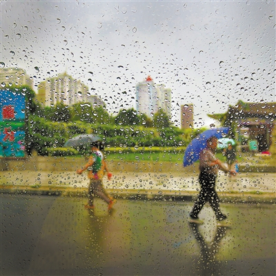 连续降雨,兰州的天气由闷热变得凉爽宜人图为市民雨中打伞出行