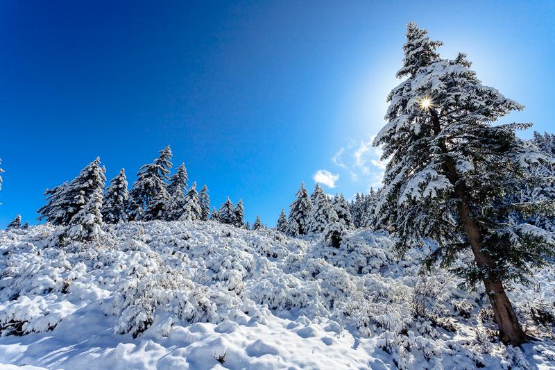 山丹军马场冬天雪景图片
