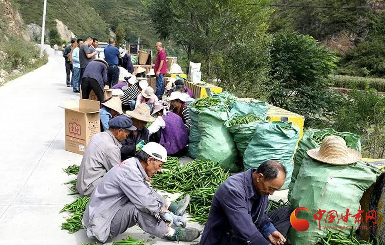 宕昌南阳镇:搬出美好生活新画卷