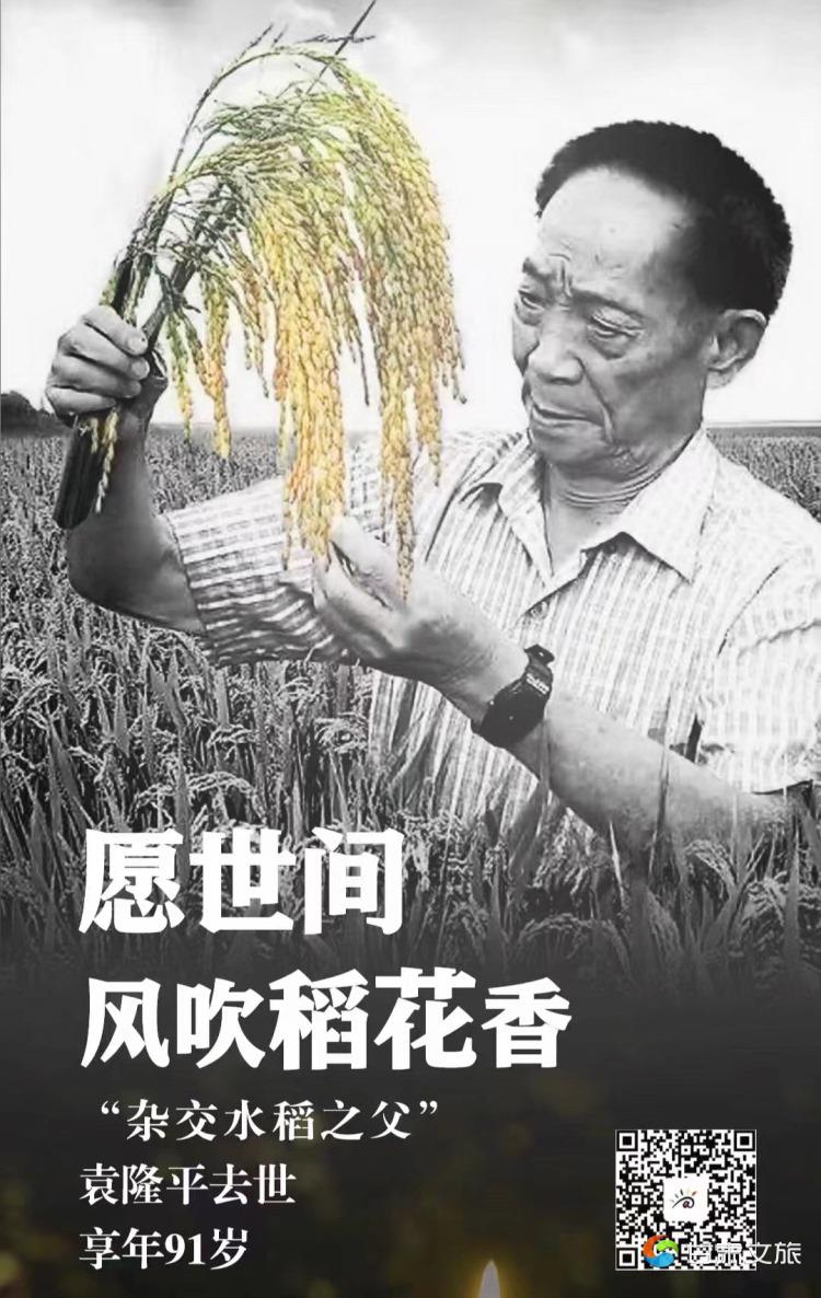中国工程院院士粮食图片