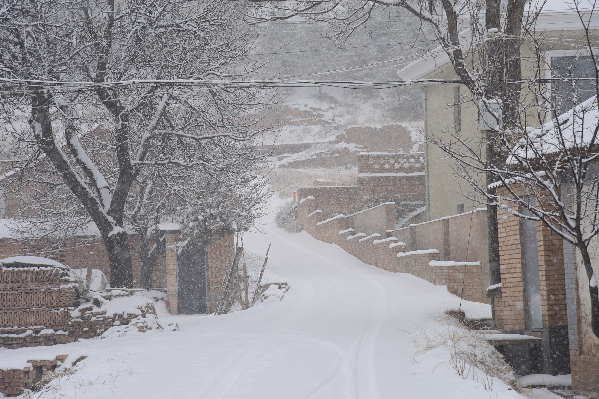 下雪风景图片真实图片图片